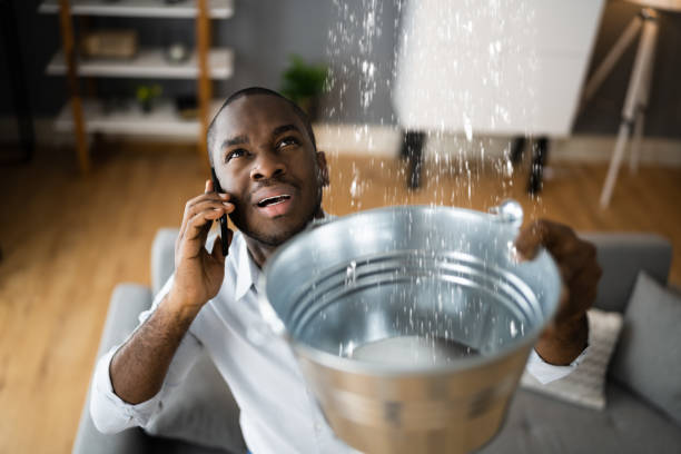 Best Ceiling water damage repair  in Augusta, ME