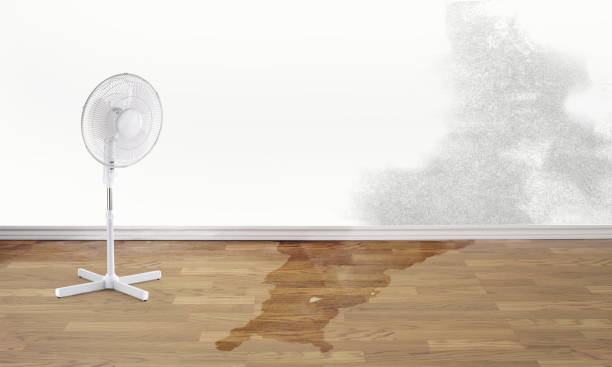 Best Water damage restoration near me  in Augusta, ME