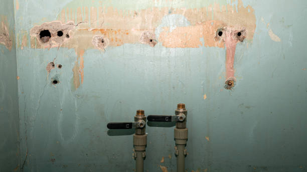 Best Flood restoration services  in Augusta, ME